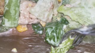Stinkbug Found in Grocery Store Salad