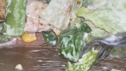 Stinkbug Found in Grocery Store Salad