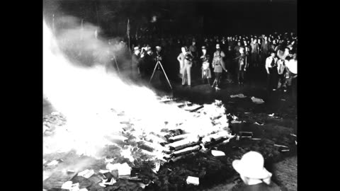 What Books Did The Nazis Burn?