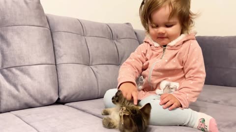 Baby and Kitten's Heartwarming Friendship