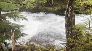Hiking Beside Incredible McKenzie River – Central Oregon – 4K
