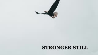 Pray USA, 3/24/23 Stronger Still