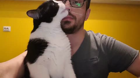 Overly-affectionate cat licks owner's face