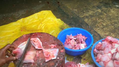 Böyük HAMUR Balığını Doğramaq / Cutting a Large HAMUR Fish / Bangladeş BALIQ Bazarı...