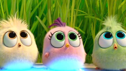 Angry birds movie clips