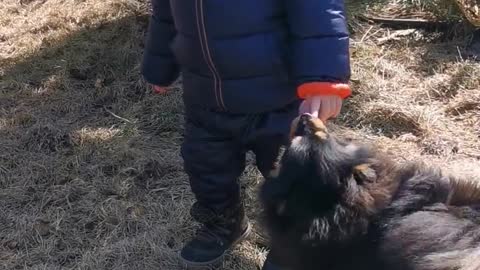 Baby and puppy are instant besties and it's absolutely adorable