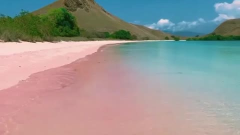 Pink Beach in Komodo National Park - Indonesia 💖 Tag your friends✨