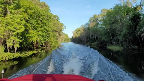 Boat Ride in Central Florida on Lake Griffin