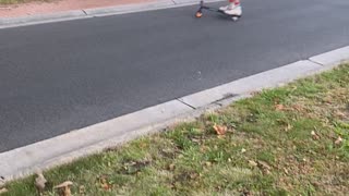 Scooter Sends Rider Rolling