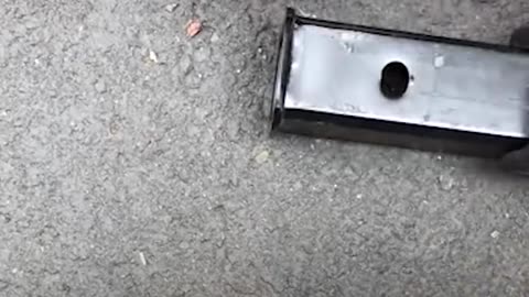 SCARED Chipmunk Stuck in Truck Hitch Rescued by Patient Guy | The Dodo