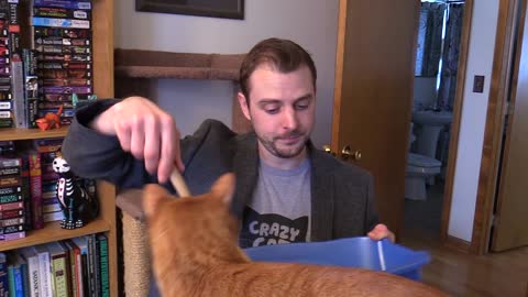 Cat Owner Interrupted During BBC Interview