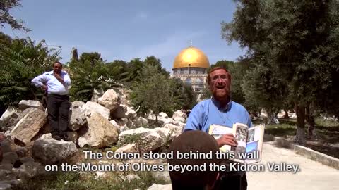 BFA International - Temple Mount Truth Project