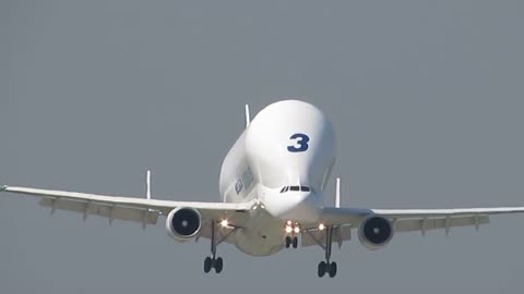 Airbus Beluga landing and takeoff at Finkenwerder, EDHI-1