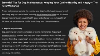 Essential Tips for Dog Maintenance: Keeping Your Canine Healthy and Happy — The Pets Workshop