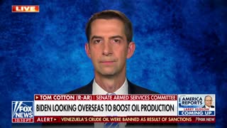 Tom Cotton: Dictators can 'smell the weakness' from Biden