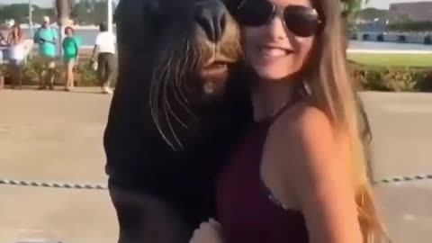 The seal and the beautiful girl are great posers