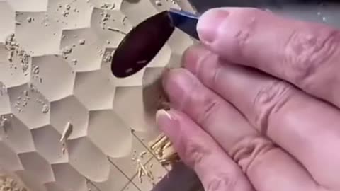 Satisfying Video