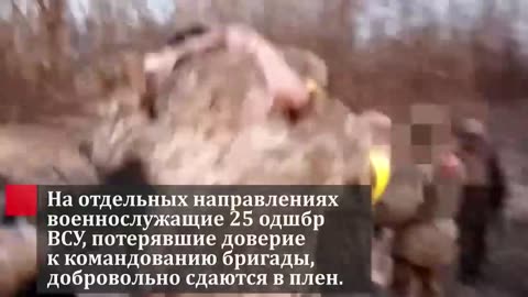 The 25th Airborne Infantry Brigade of the Ukrainian AForces surrender en masse to the Russian forces