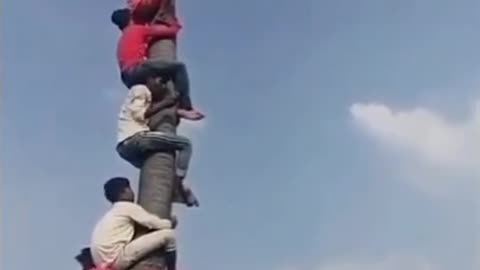 Climbing on tree🤣 funny video 🤣 crazy comedy video