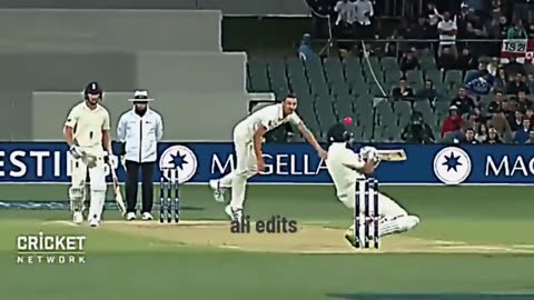 Australia amazing bowling line❤️❤️