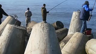 Fishermen catch a big sprat in the Baltic sea. 5-6 fish to the bait.