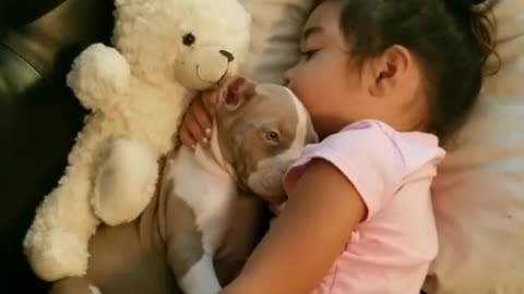 Adorable puppy preciously cuddles with little girl