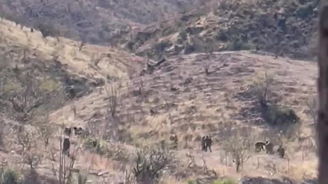 Luis Pozzolo Video Of Illegal Immigrants On Trail