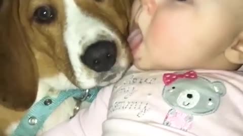 Cute Baby and Dog Lick each Other in the Mouth! (Playlist-Fun, Happy Videos)