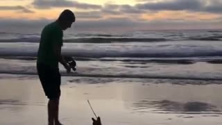 Man and small dog walking on beach sunset