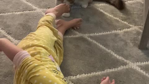 Kitty and Toddler Have a Blast Together