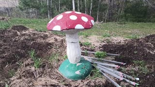 Mushroom