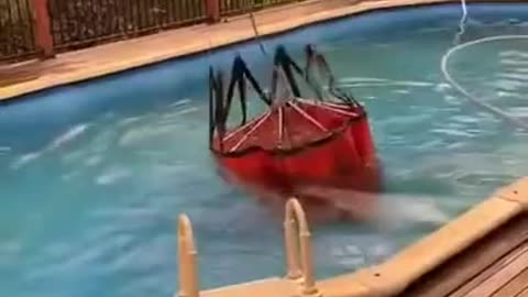 Australian Firefighters Collecting Water From Pool