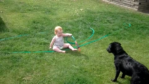 When dogs meet children, laughter is guaranteed