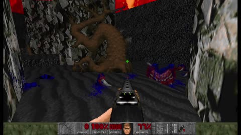 Brutal Doom - Inferno - Tactical - Hard Realism - Slough of Despair (E3M2)