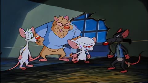 Pinky and the Brain S01E17 Mouse of la Mancha 1080p UPSCALED