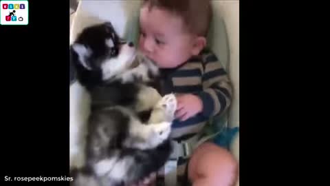 Cute Dogs and Babies Cutest !