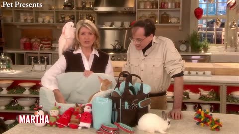 ***Martha Stewart's Best Christmas Decorating Tips***