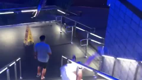 Three guys slide down stair rail