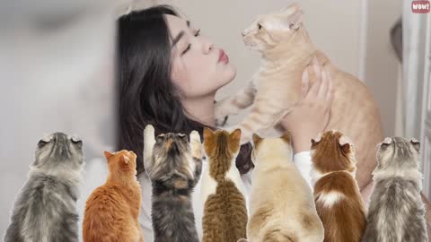 10 Scientific Ways to Get a Cat to Like You!!