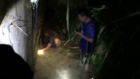 Brave locals rescue five puppies stuck under flooded house in Thailand