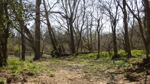 Walk through Beckley Creek Park. Slideshow.