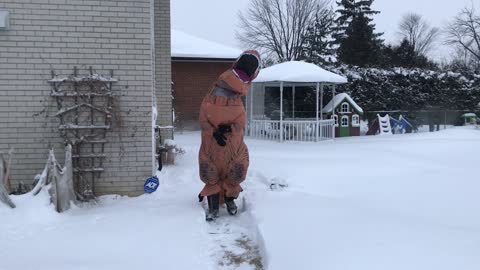 Funny T-Rex Winter Shenanigans