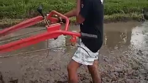 The young tracktor operator