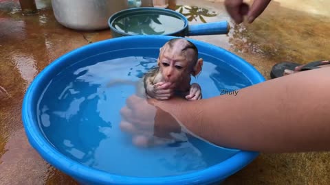 Incredible..!! Baby Zhuly To Much Like Swimming Pull