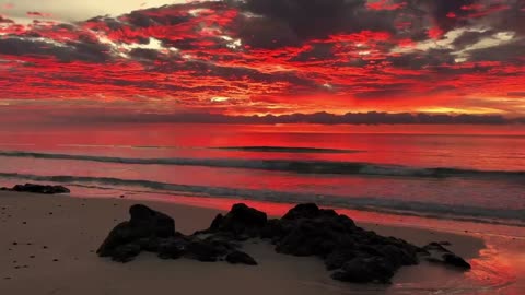 Tropical Beach Sunrise with Ambiant Waves