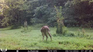 9 pt 2022