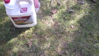 Spraying for Bugs