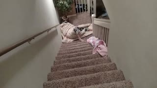 Kid rolled in blanket down stairs