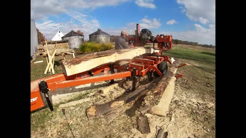 16 foot Pine Log Bad blade straight from box, Still made nice 2 inch boards 2x8 with wood mizer LT35