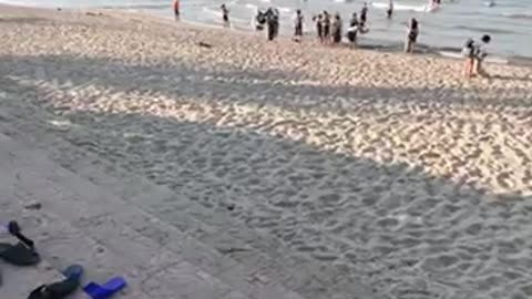 Cute boy and beach